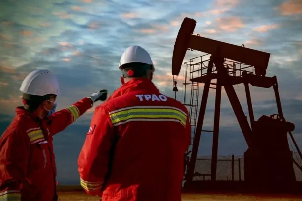 TPAO Wins Libya Oil and Gas Bid in Strategic Expansion