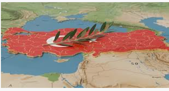 Public Sentiment Analysis: Turkey’s “Terror-Free” Initiative and the Peace Process