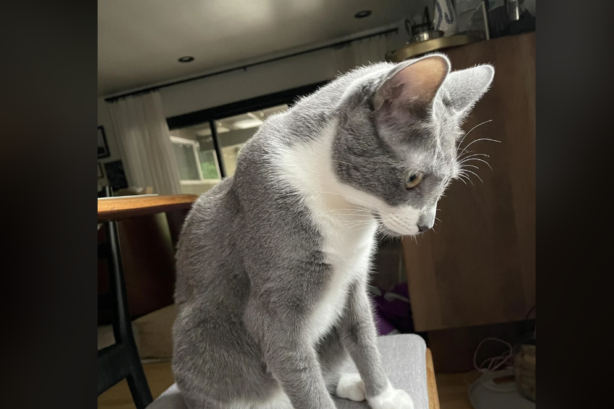 Erdoğan highlights ‘existential crisis’ in global system at Antalya Diplomacy Forum