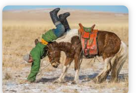 Is a “Sudden Stop” Looming in Turkish Industry?