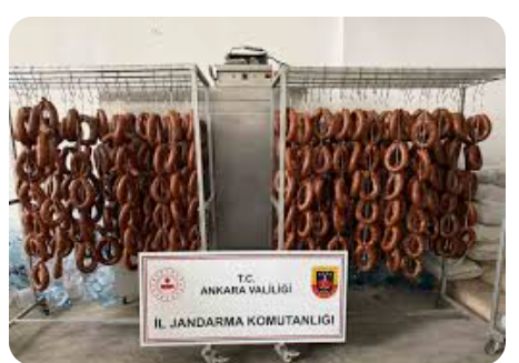 Food Fraud in Türkiye: Are Offenders Going Unpunished?