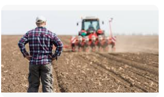 CHP Lawmaker Warns of Deepening Agricultural Crisis as Türkiye Faces Food Supply Risks